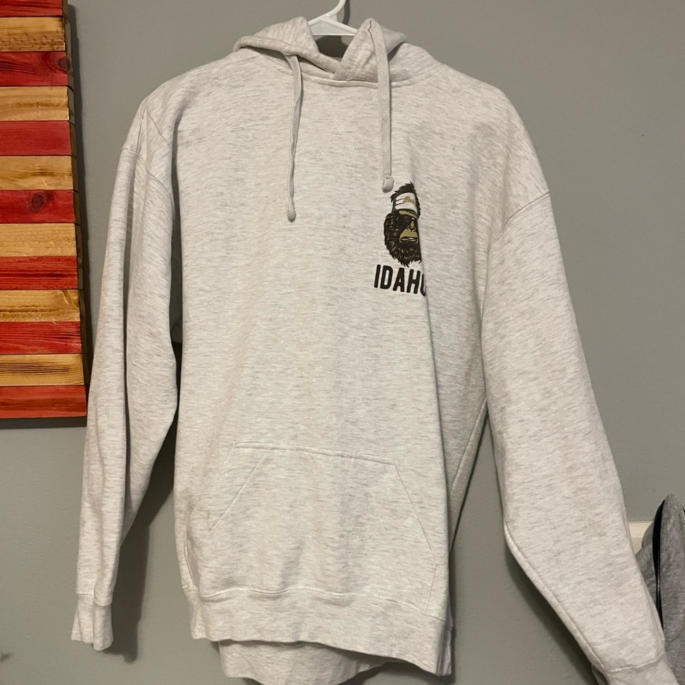 Idaho Graphic Hooded Sweatshirt - Light Gray